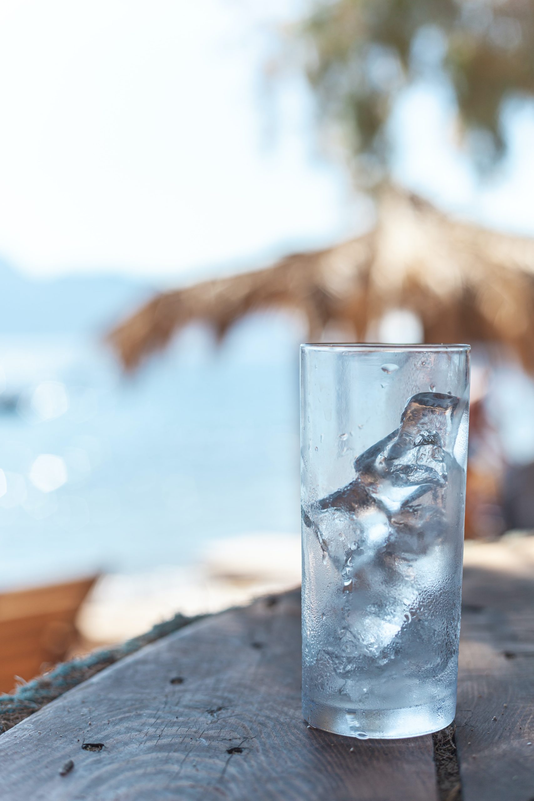 Best Portable Ice Maker